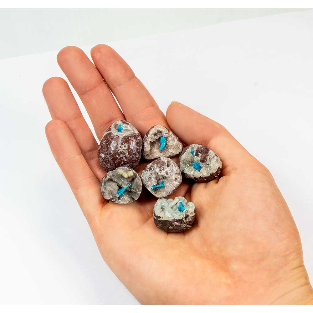 Tumbled Stones Cavansite on Silicate (Pack of 5): Cavansite