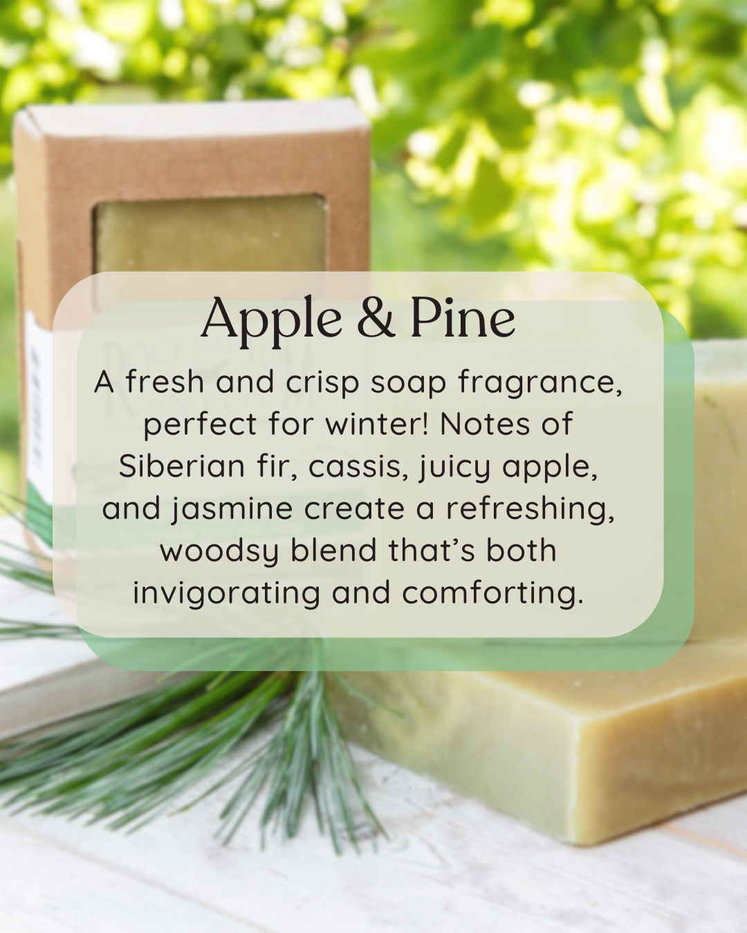 Apple & Pine Goat Milk Soap