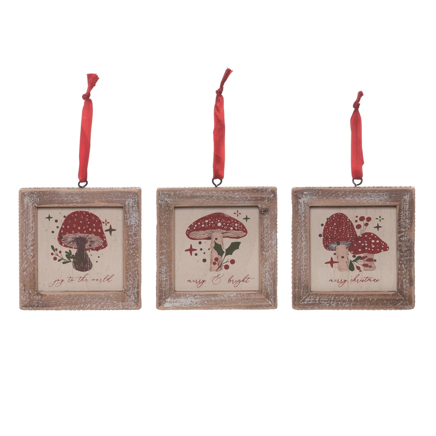 Merry Mushroom Block Orn Set 3 Christmas DS