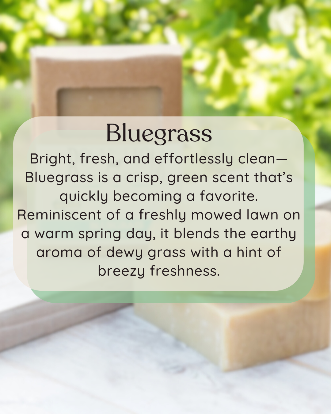 Bluegrass Goat Milk Soap