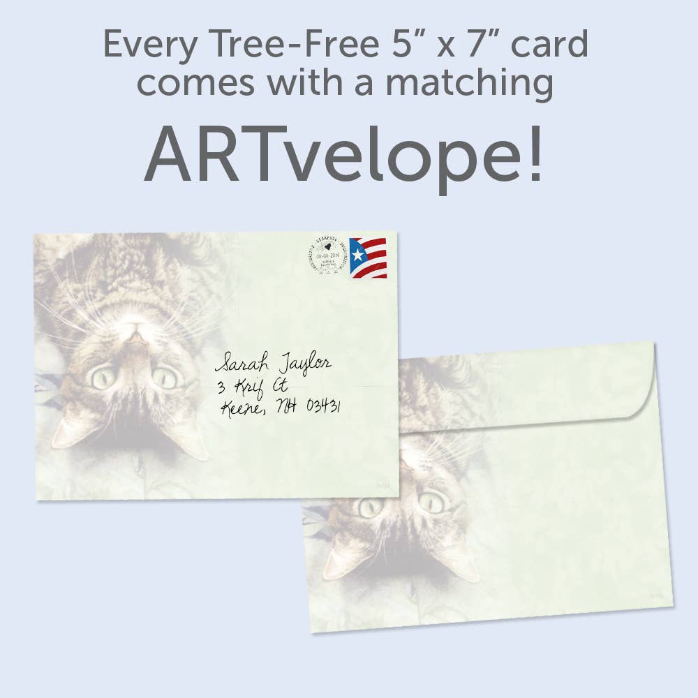 Perspective Birthday Card 6 Pack