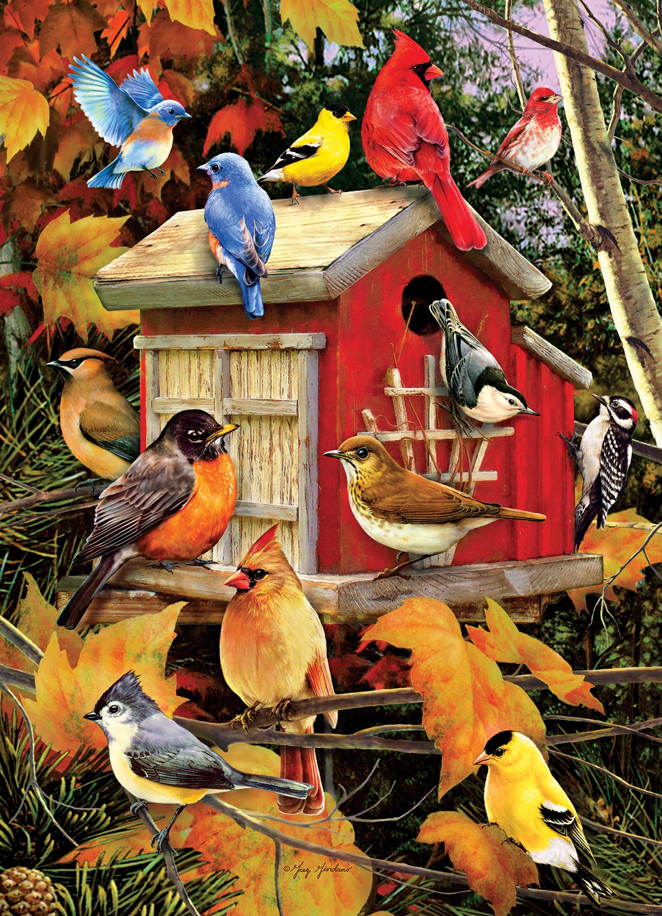 Fall Birdhouse 500pc puzzle