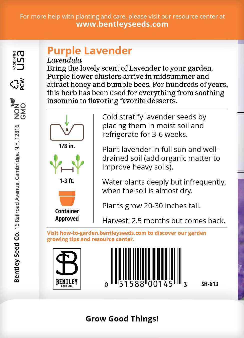 Lavender Plant Seeds for Garden