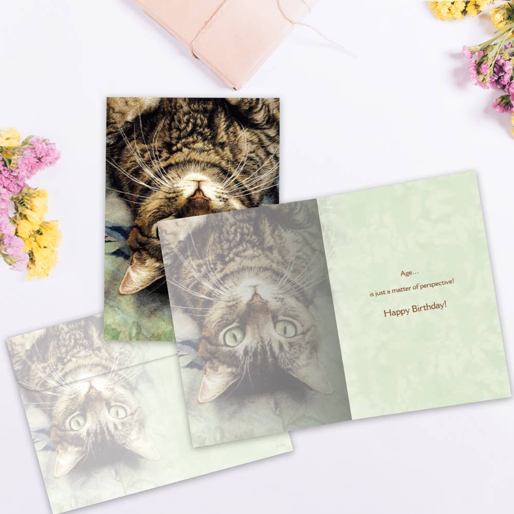 Perspective Birthday Card 6 Pack