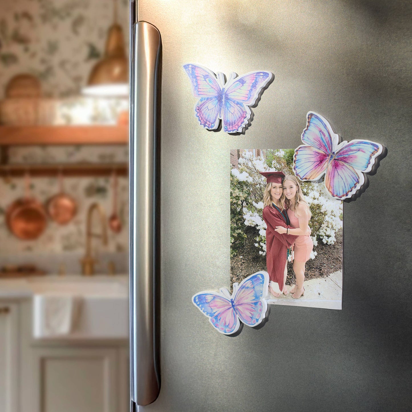 Butterflies Magnet Set