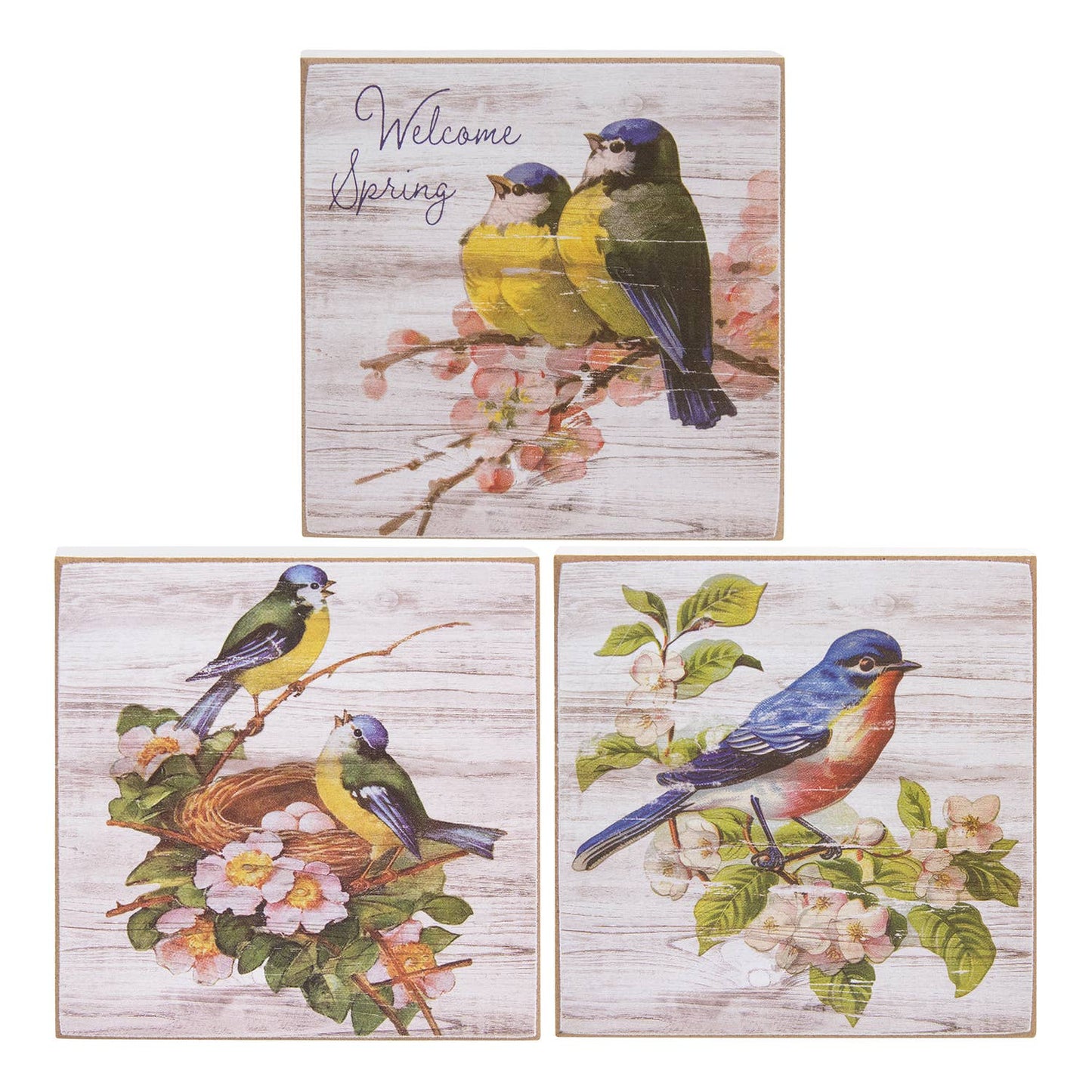 Welcome Spring Bluebird Square Block - 3 Asstd.