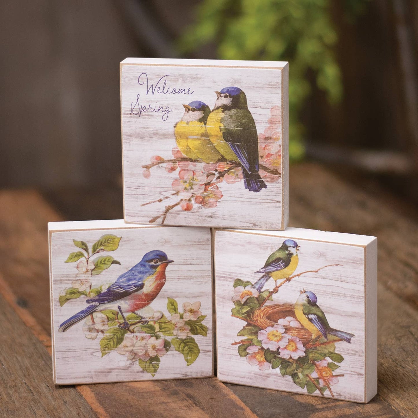 Welcome Spring Bluebird Square Block - 3 Asstd.